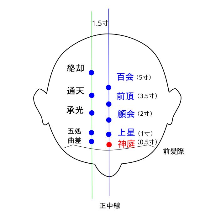 神庭（しんてい）穴イラストと督脈