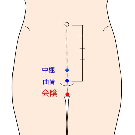 会陰穴