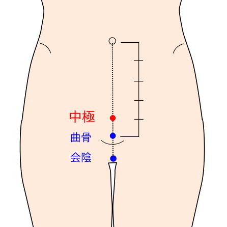 中極穴