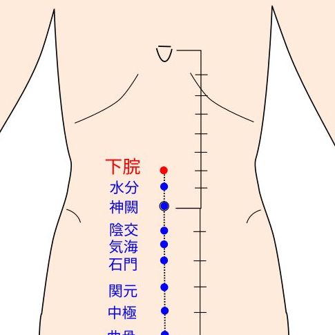 下脘（げかん）の経穴（ツボ）イラスト