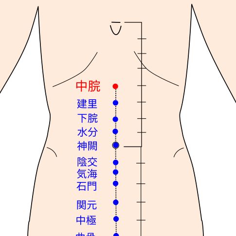 中脘（ちゅうかん）の経穴（ツボ）イラスト