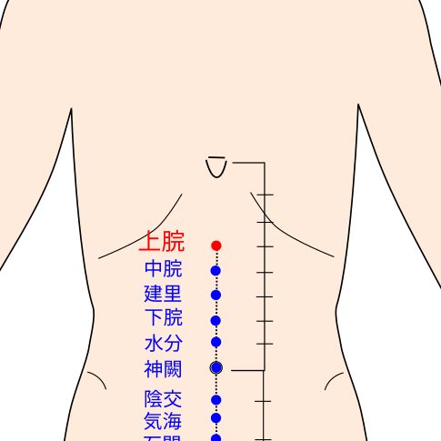 上脘（じょうかん）の経穴（ツボ）イラスト