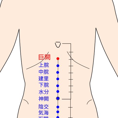 巨闕（こけつ）の経穴（ツボ）イラスト
