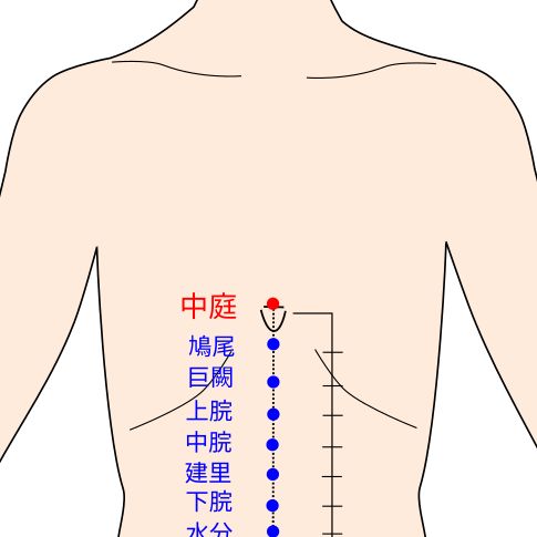 中庭（ちゅうてい）の経穴（ツボ）イラスト