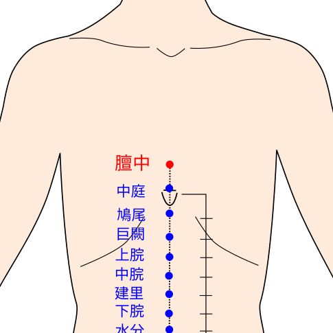 膻中（だんちゅう）の経穴（ツボ）イラスト