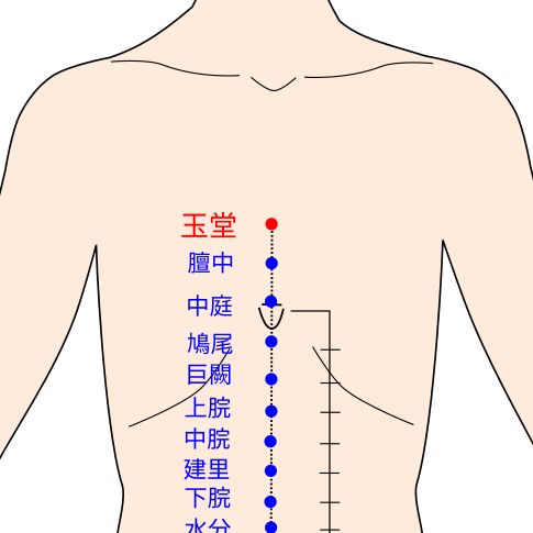 玉堂（ぎょくどう）の経穴（ツボ）イラスト