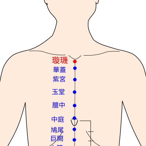 璇璣（せんき）の経穴（ツボ）イラスト