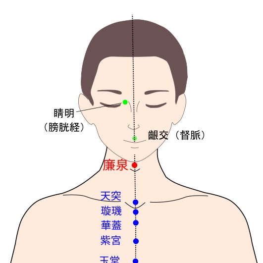 廉泉（れんせん）の経穴（ツボ）イラスト