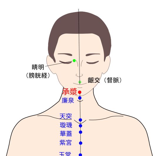 承漿（しょうしょう）の経穴（ツボ）イラスト