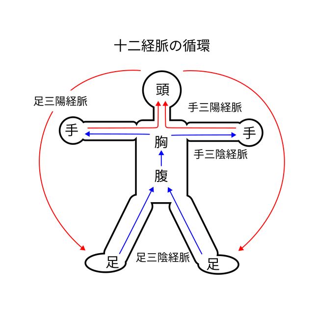 十二経脈の循環