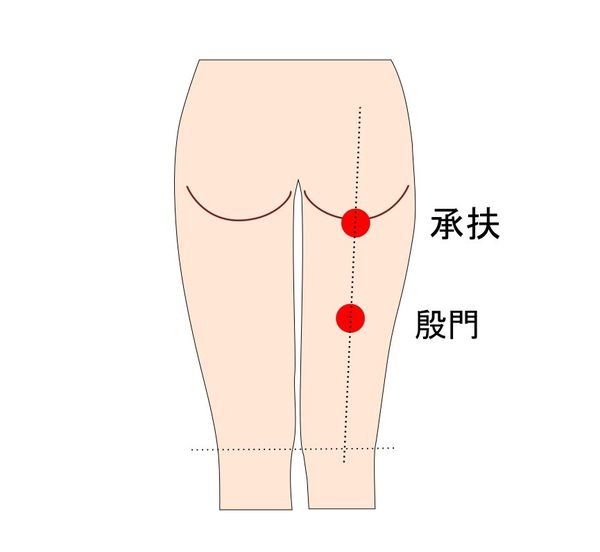 殷門と承扶のツボ