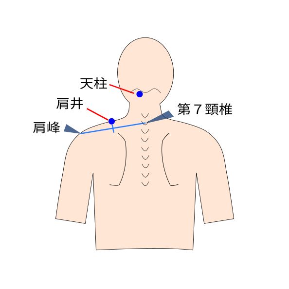 肩井と天柱