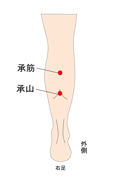 承筋、承山穴のイラスト