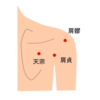 肩の後のツボのイラスト