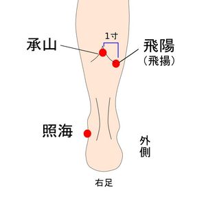 飛揚穴・照海穴、ピックアップ記事