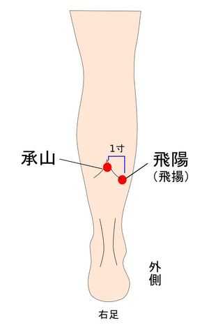 飛陽（飛揚）穴