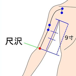 尺沢穴