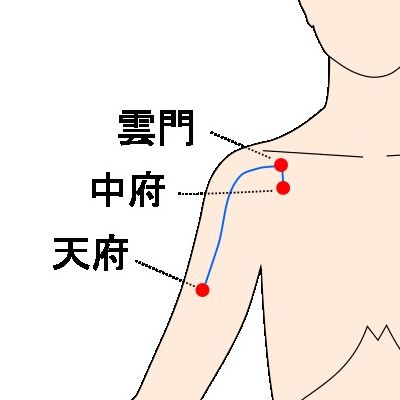 手太陰肺経イラスト