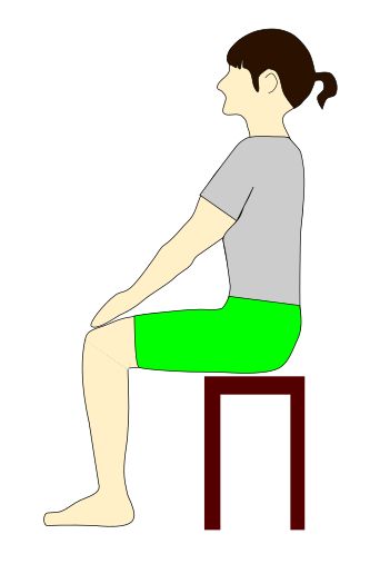 座位腰部体操