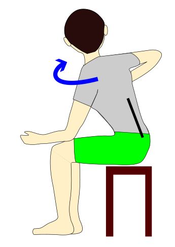 座って胸椎の捻じり運動