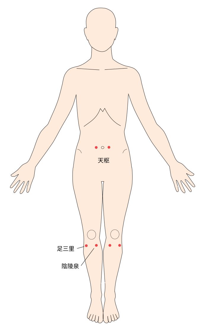 足三里・陰陵泉・天枢穴（ツボ）イラスト