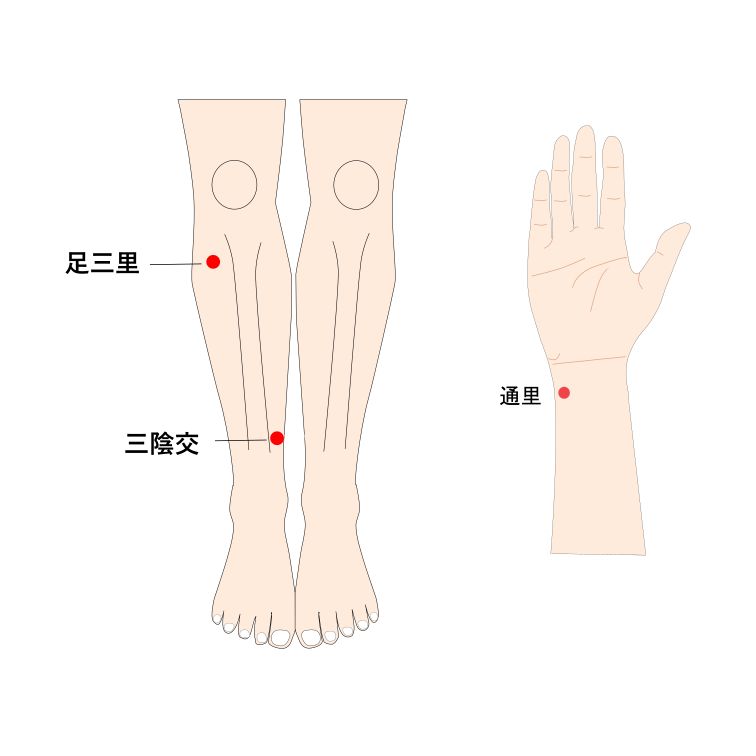 通里・足三里・三陰交穴のイラスト
